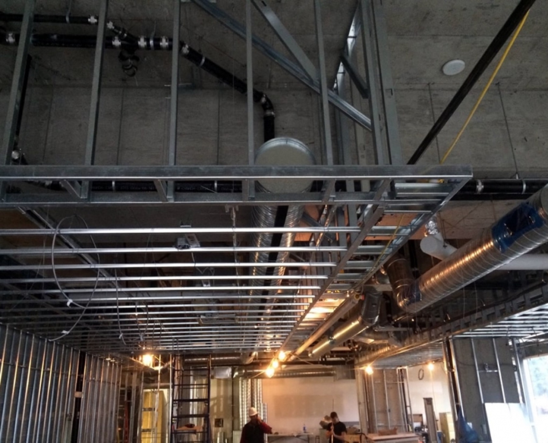 The Flying Pig project view 4